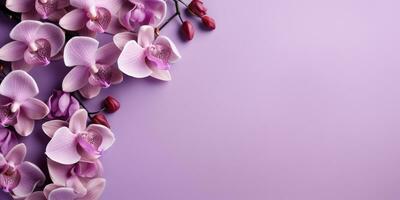 orquídeas en un rosado fondo, parte superior vista, espacio para texto. generativo ai foto