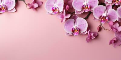 Orchids on a pink background, top view, space for text. Generative AI photo