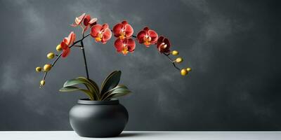 Beautiful Orchid in a flower pot, space for text or your product, Generative AI photo