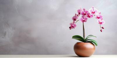 orchid in a flower pot on light background, flowering branch, marble background, Generative AI photo