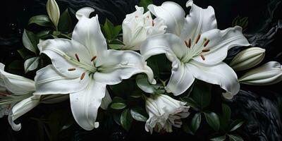 White lilies on a black background, close-up, Generative AI photo