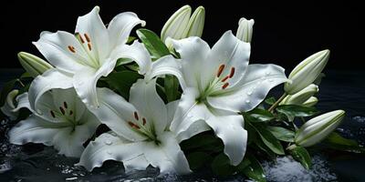 White lilies on a black background, close-up, Generative AI photo