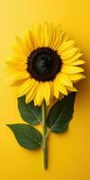 Sunflower on a yellow background, space for text. Generative AI photo