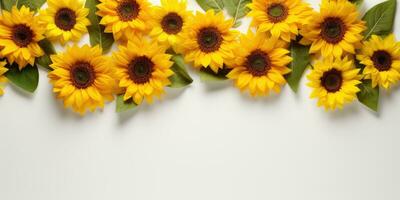 girasoles en un blanco fondo, espacio para texto. generativo ai foto