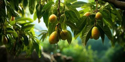 Peaches growing on tree in summer. Delicious and healthy organic food. Generative AI photo