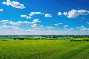 A picturesque green field under a clear blue sky with fluffy white clouds photo