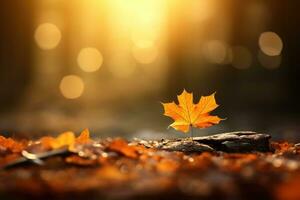 A single leaf resting on the ground in a serene setting photo