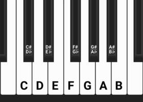 Piano Keyboard With Note Markings, Visual Aid. vector