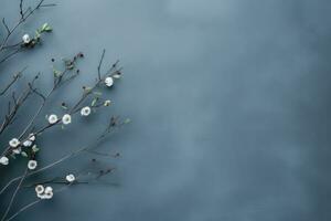 A branch with white flowers on a blue background photo