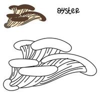 Contour and color drawing of an edible mushroom oyster with names for coloring. Isolated vector flat illustration. Edible mushrooms in forests, large and small, study, play, creativity on white