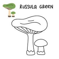 Contour and color drawing of an edible mushroom russula green with names for coloring. Isolated vector flat illustration. Edible mushrooms in forests, large and small, study, play, creativity on white