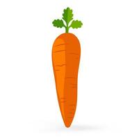 A fruity carrot icon isolated on white background vector illustration