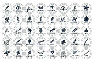 Circle Label Spice and Herb Black and White Set vector