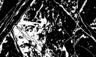 un negro y blanco foto de un árbol vector