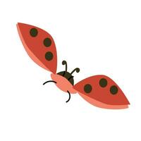 flying ledybug cute view above in a flat style vector