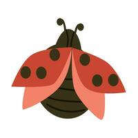 Cute red ladybug beetle insect in flat style vector