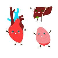 characters of kawaii internal organs of a person vector