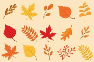 otoño hojas acuarela colocar, genial diseño para ninguna propósitos. botánico antecedentes. bosque diseño elementos. Hola otoño ilustraciones. Perfecto para estacional anuncio publicitario, invitaciones, tarjetas vector