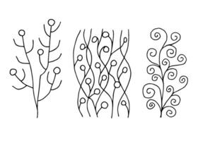 Abstract vector elements of curved wavy lines, branches with berries, circles, spirals. Black outline on a white background. Hand drawn ink drawing, set.