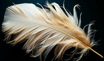 Closeup of white feathers on black background. AI generated photo