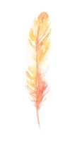 yellow feather isolated png