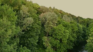 The camera flies over the river in a city park in Bernardinai Garden in Vilnius Lithuania video