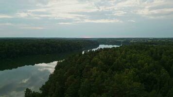 volare al di sopra di il lago e foresta a tramonto. asveja è il il più lungo lago nel Lituania video