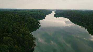 panorâmico área Visão em uma lago asveja video