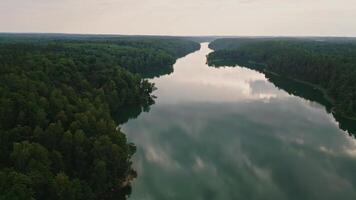 panoramico un vero Visualizza su un' lago asveja video