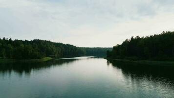 el cámara se mueve a través de el superficie de un lago en el medio de un bosque. asveja es el mas largo lago en Lituania video