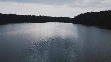 il telecamera fuoriuscite al di sopra di il superficie di un' lago nel il mezzo di un' foresta, asveja è il il più lungo lago nel Lituania video