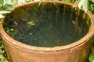 Wooden barrel filled with water photo