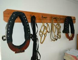 Elements of harness horses, hanging on a hanger photo