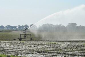 Irrigation system in the field of melons. Watering the fields. Sprinkler photo
