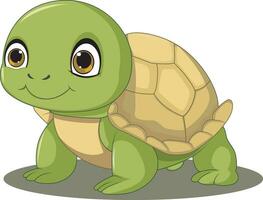 Cute Turtle Cartoon On White Background vector