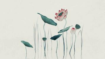 Chinese retro painting style lotus illustration. video