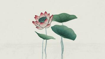 Chinese retro painting style lotus illustration. video