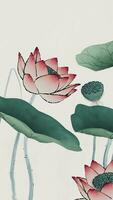 Chinese retro painting style lotus illustration. video