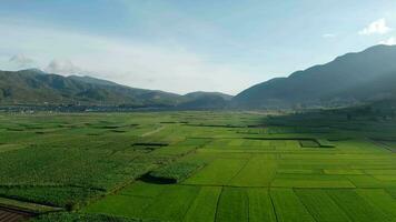 terras agrícolas e Campos dentro Yunnan, China. video