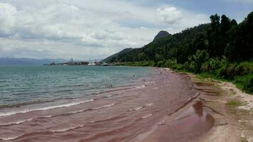 Red beach in Fuxian Lake in Yunnan, China. video