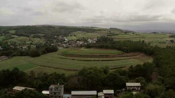 herbe et des arbres dans Xundian, Yunnan, Chine. video