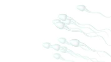Human sperm cells, 3d rendering. video