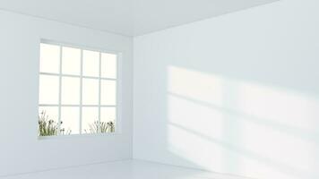 blanco vacío habitación con luz de sol ven desde el ventana, 3d representación. video