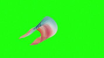 Flowing cloth, gradient wave silk with green screen background, 3d rendering. video
