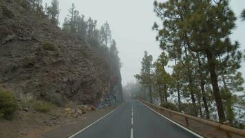 pintoresco la carretera en el montañas con conífera bosque video