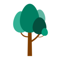The Green Tree png
