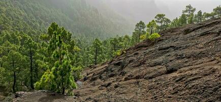 Landscape of the island of La Palma in the Canary archipelago photo