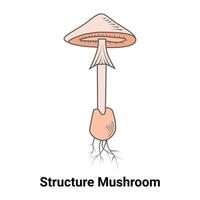 Structure Mushroom Vector Illustration Design