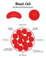 Blood Cell Science Design Vector Illustration