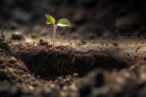 Food seed that emerges in the soil in search of light, to grow. Al generated photo